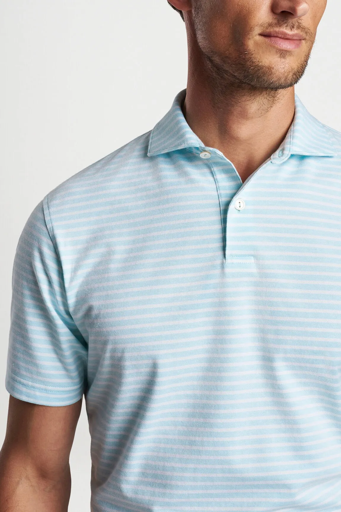 Albatross Pique Polo Shirt in Cotton