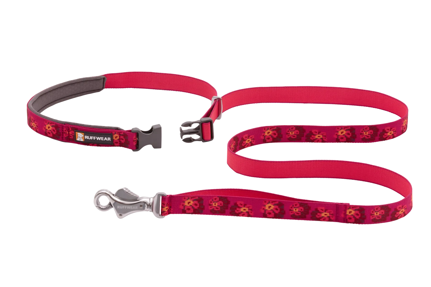 Flat Out Adjustable Dog Leash