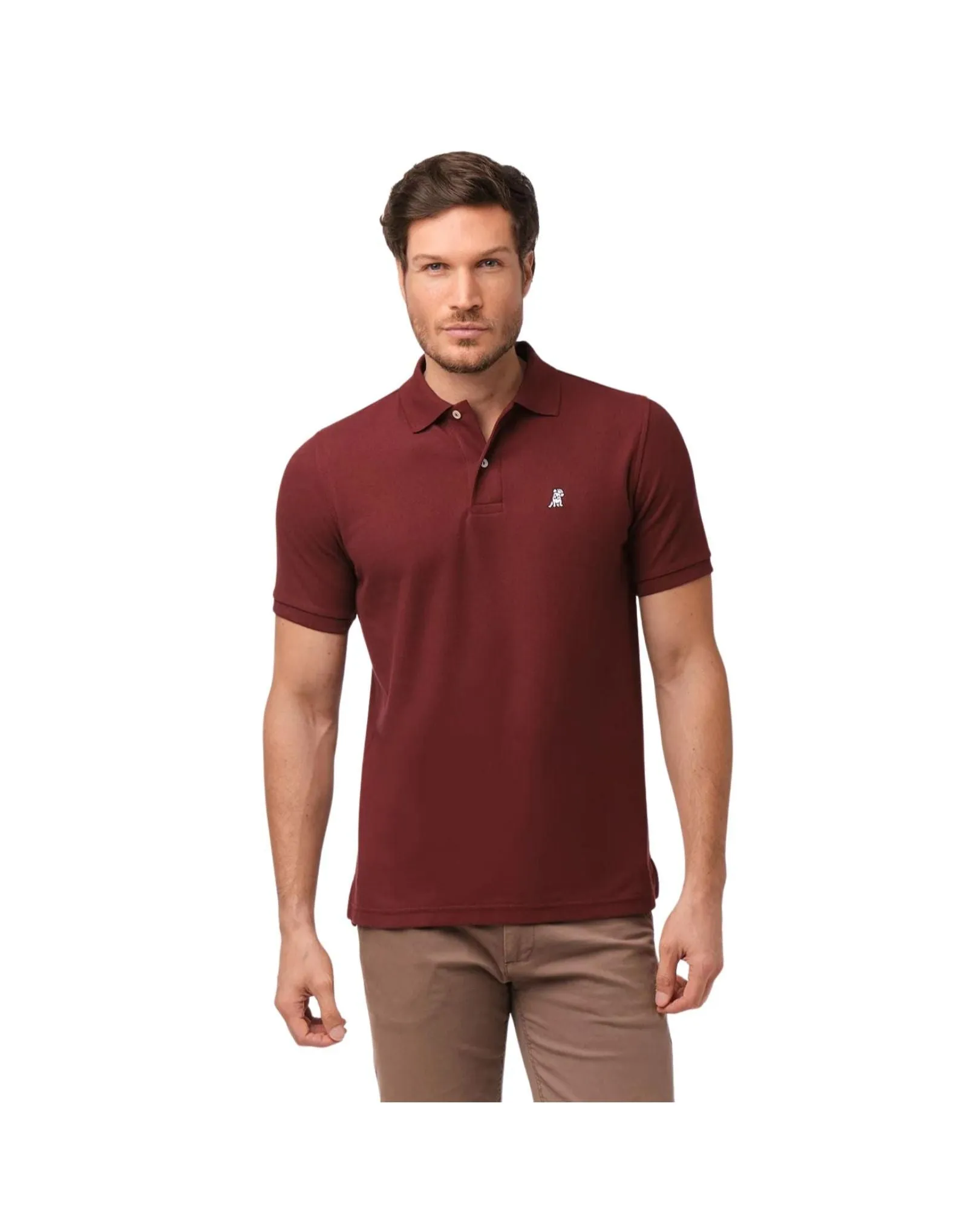 Men's Regular Fit Polo Shirt - Cabaret A11