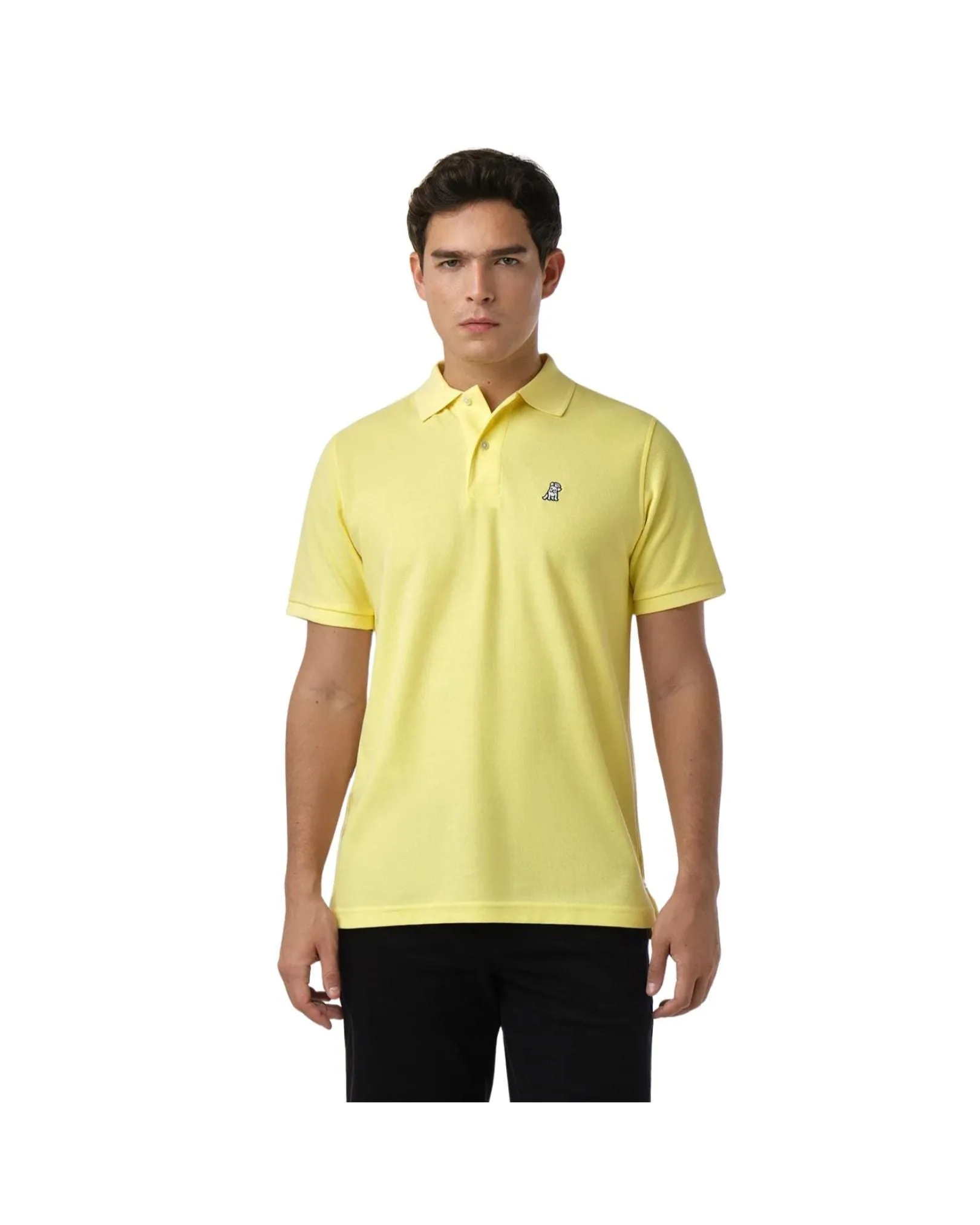 Men's Regular Fit Polo Shirt - Sunshine A11