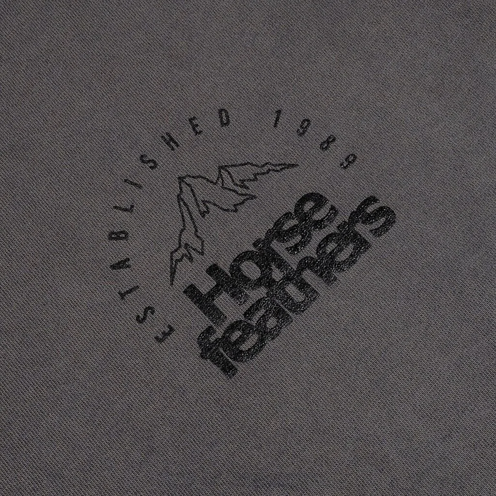 T-Shirt Horsefeathers Peak Emblem - Washed Gray - men´s